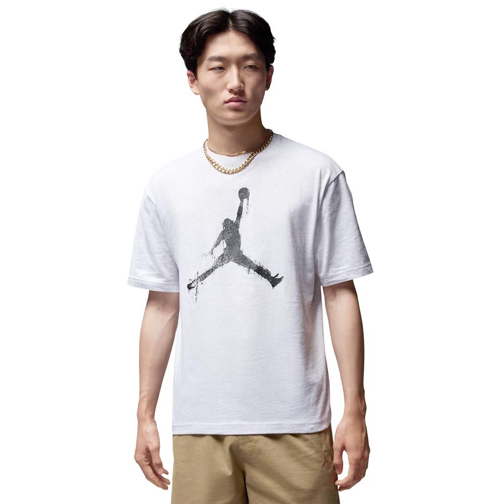 NIKE Jordan Brooklyn мужская футболка