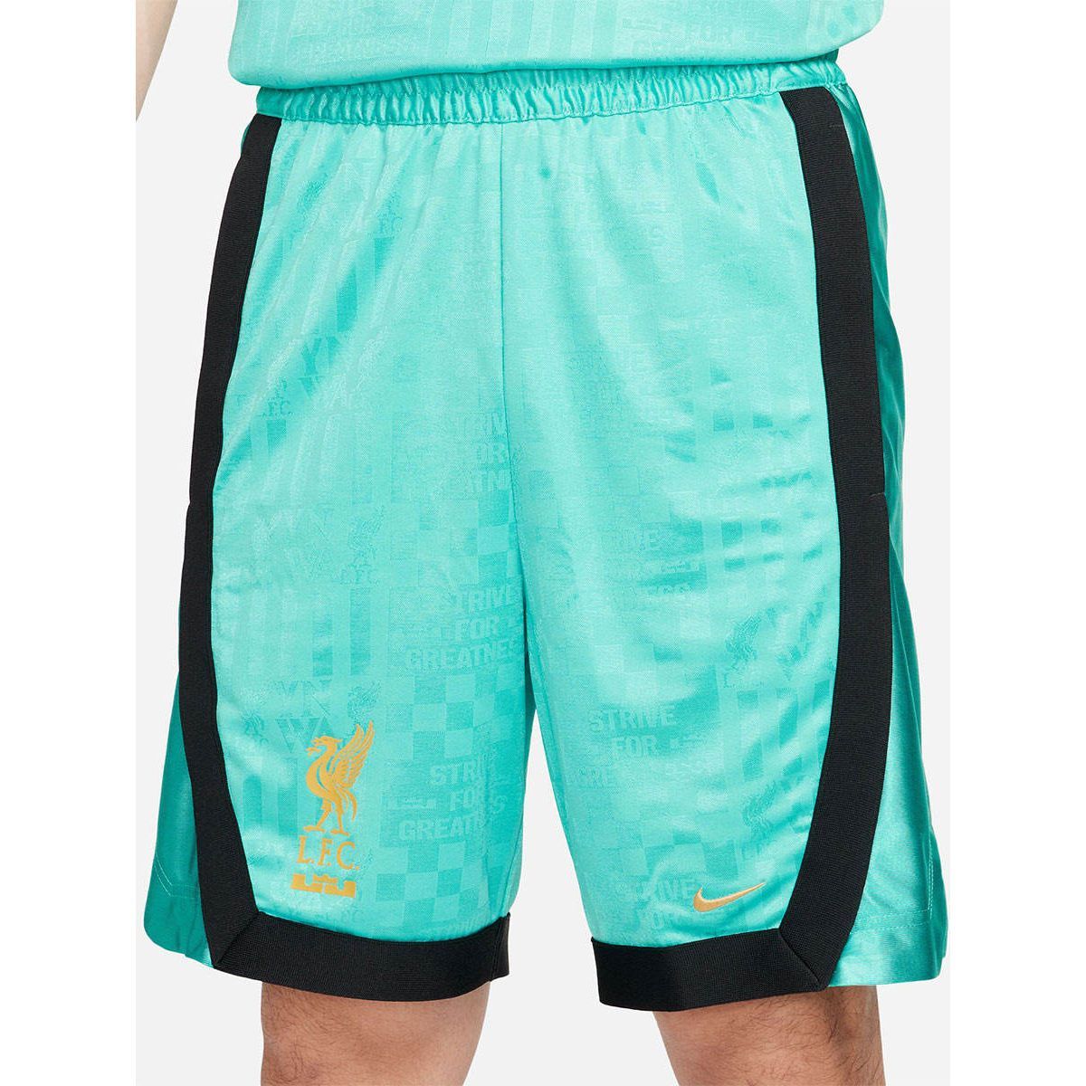 NIKE LeBron x Liverpool FC мужские баскетбольные шорты