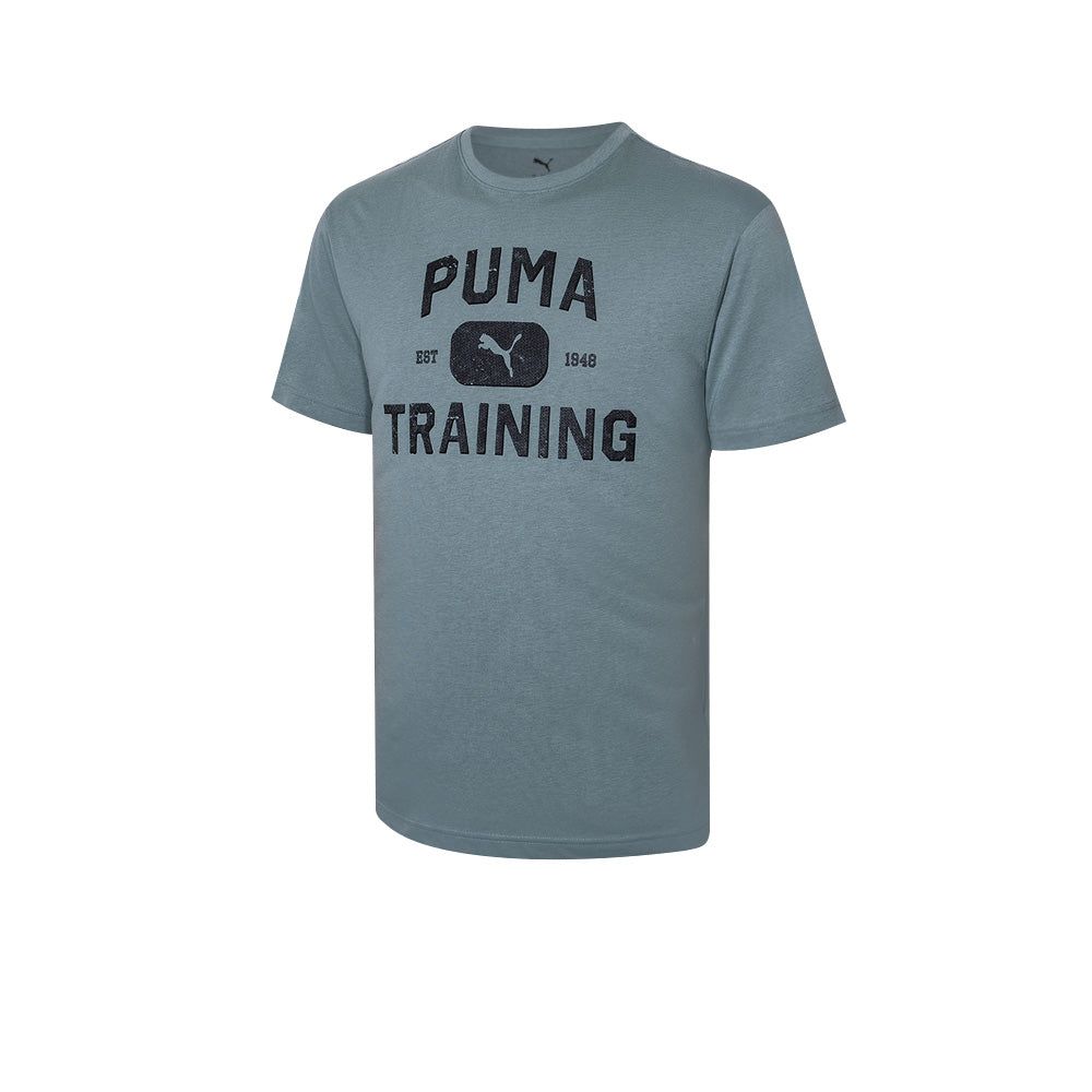 PUMA Graphics Logo мужская спортивная футболка
