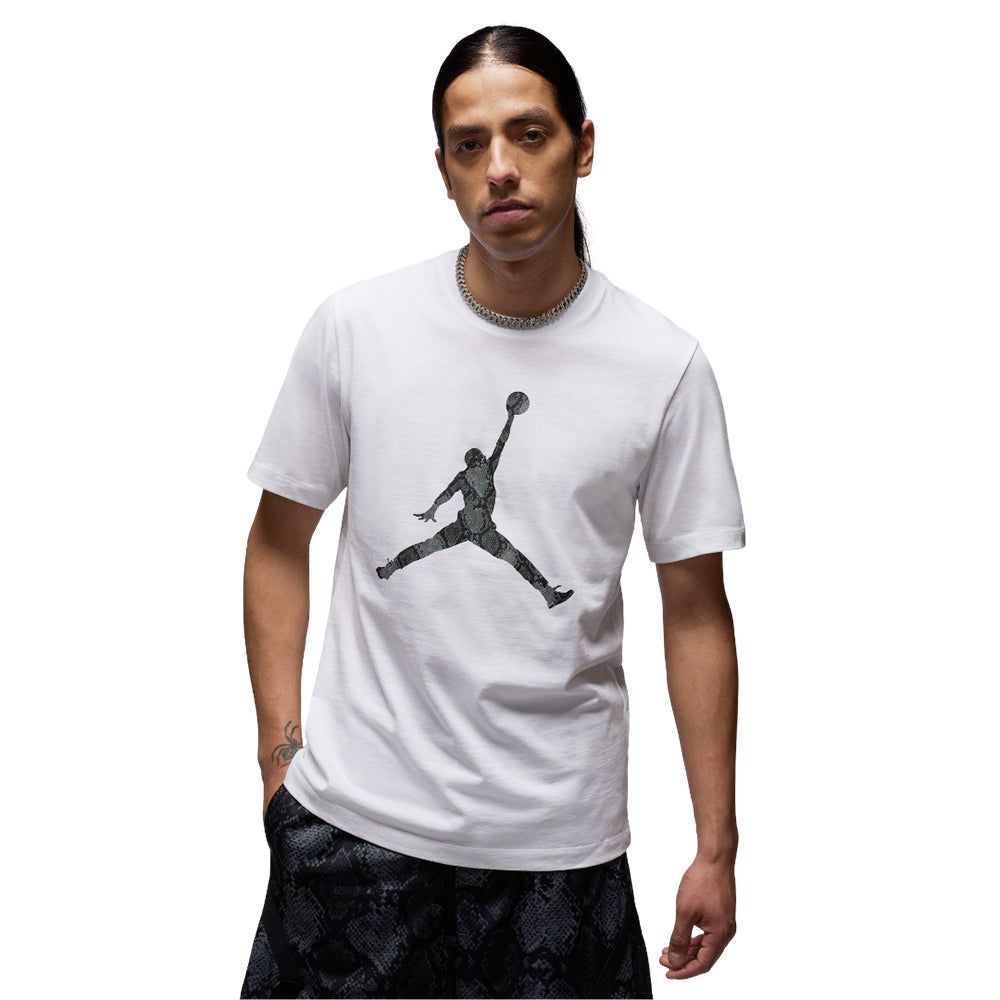NIKE Jordan Sport Dri-FIT мужская баскетбольная футболка
