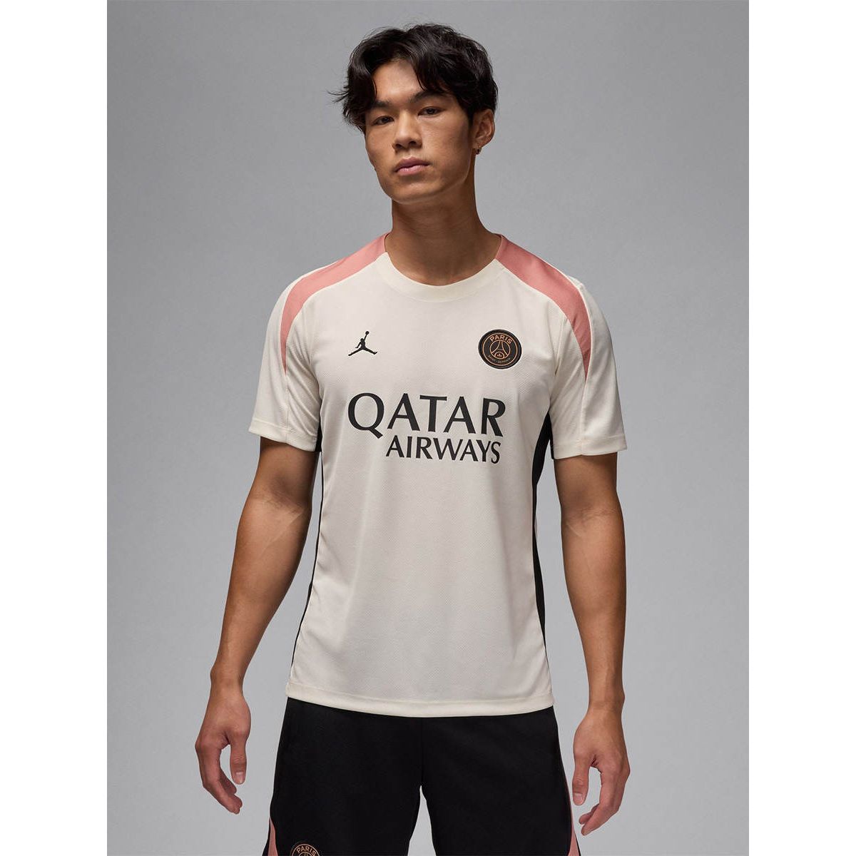 NIKE мужская Paris Saint-Germain Strike Third футбольная футболка