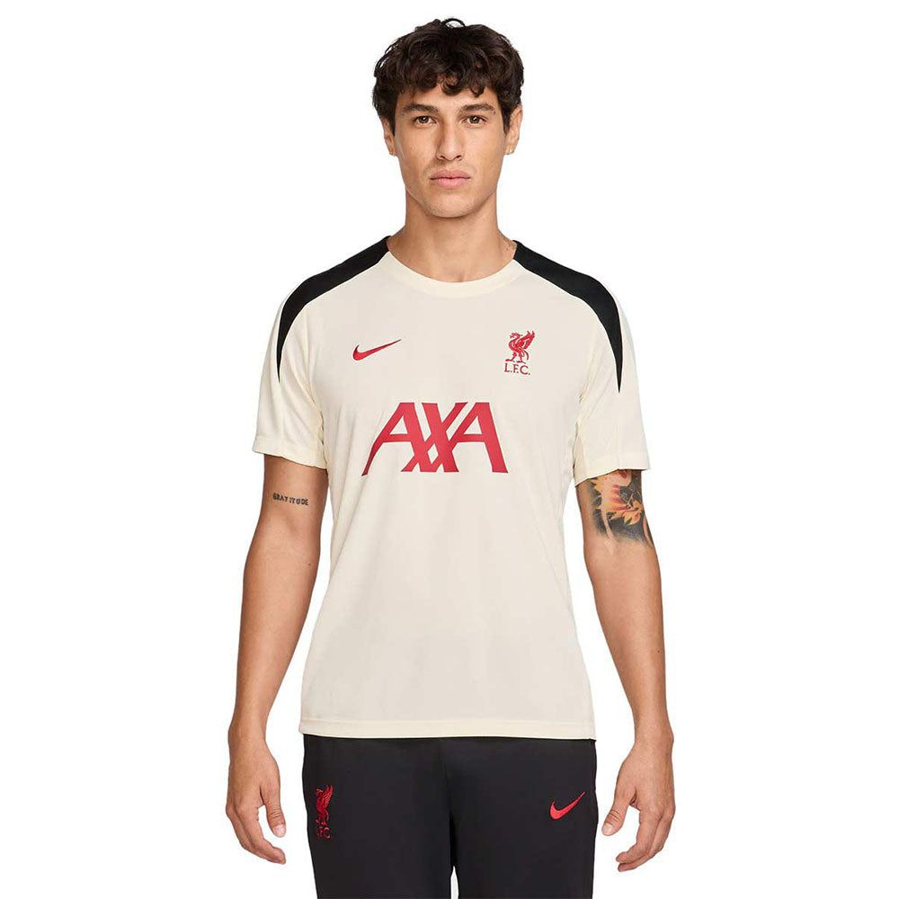 NIKE Liverpool FC Strike Special Edition мужские футбольные футболки