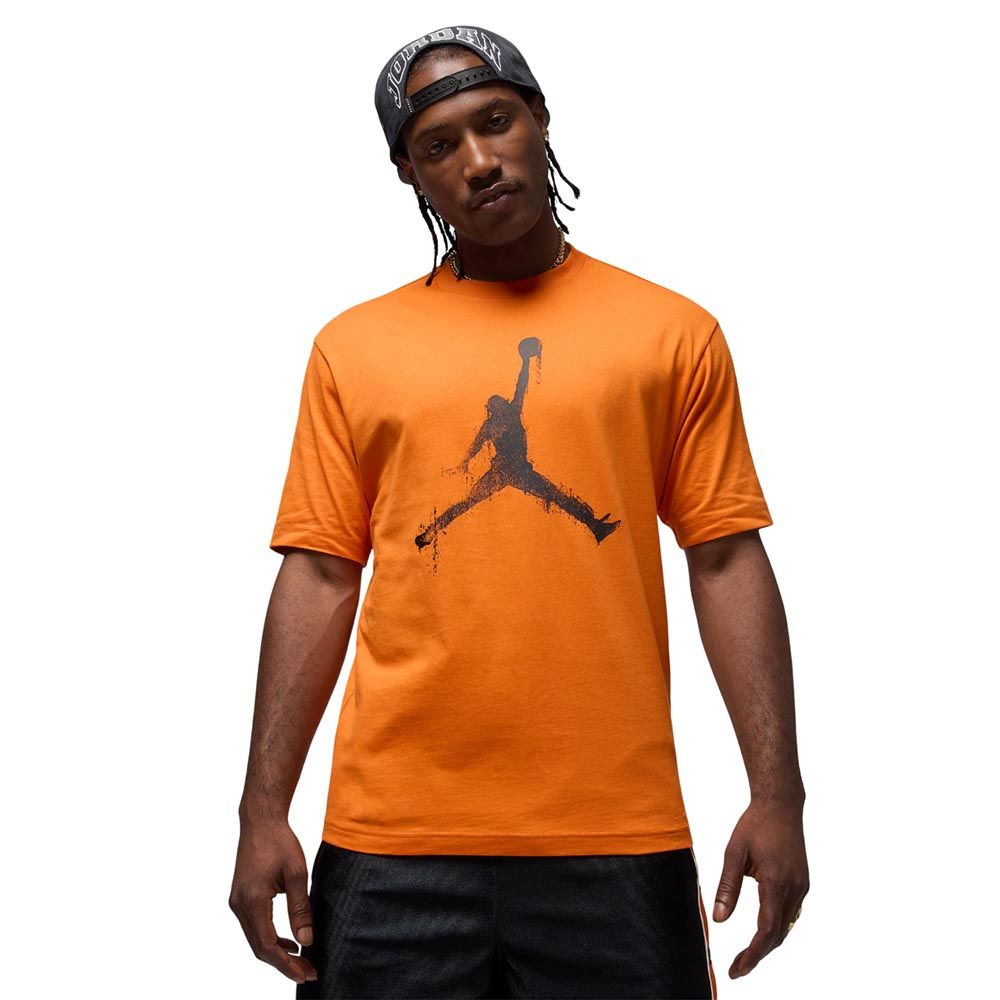 NIKE Jordan Brooklyn мужская футболка