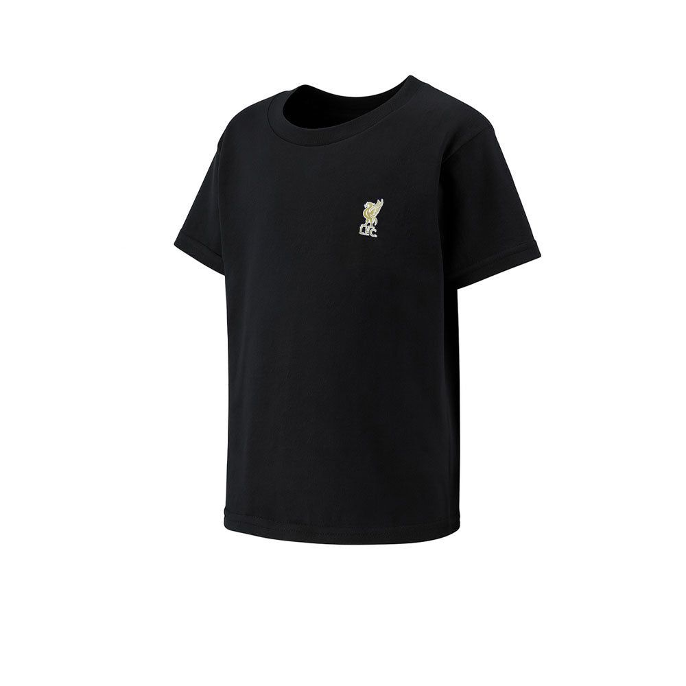 LFC Champions 24/25 Tee мужская футболка