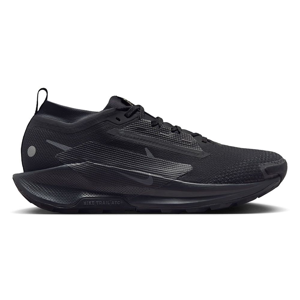 NIKE мужские Pegasus Trail 5 GORE-TEX® кроссовки для трейл-раннинга