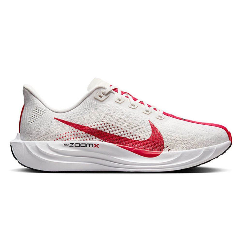 NIKE мужские Pegasus Plus беговые кроссовки