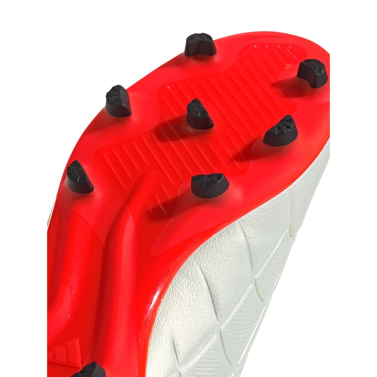 Миниатюра 8