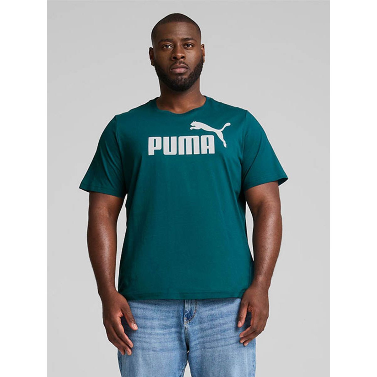 PUMA Essentials Logo мужская футболка