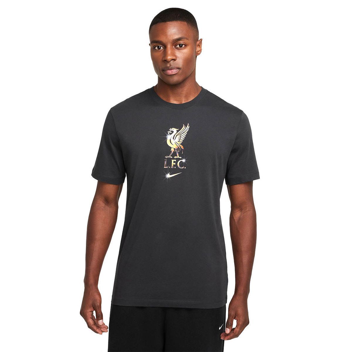 NIKE Liverpool FC мужская футбольная футболка