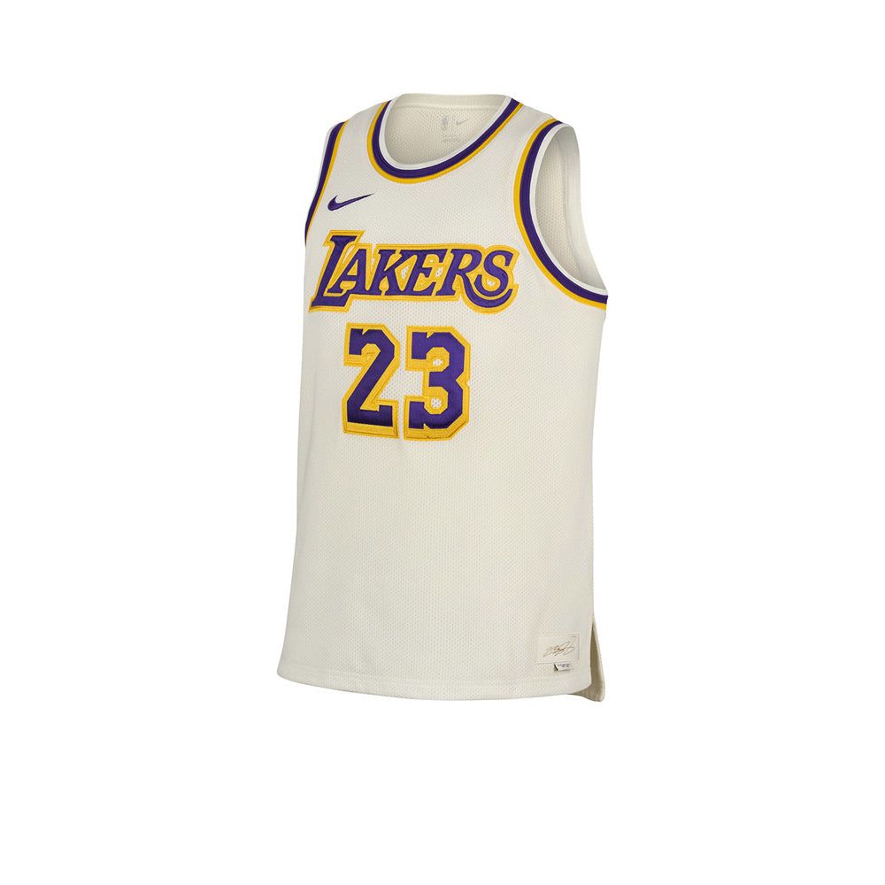 NIKE LeBron James LeBron Dri-FIT NBA мужская баскетбольная футболка