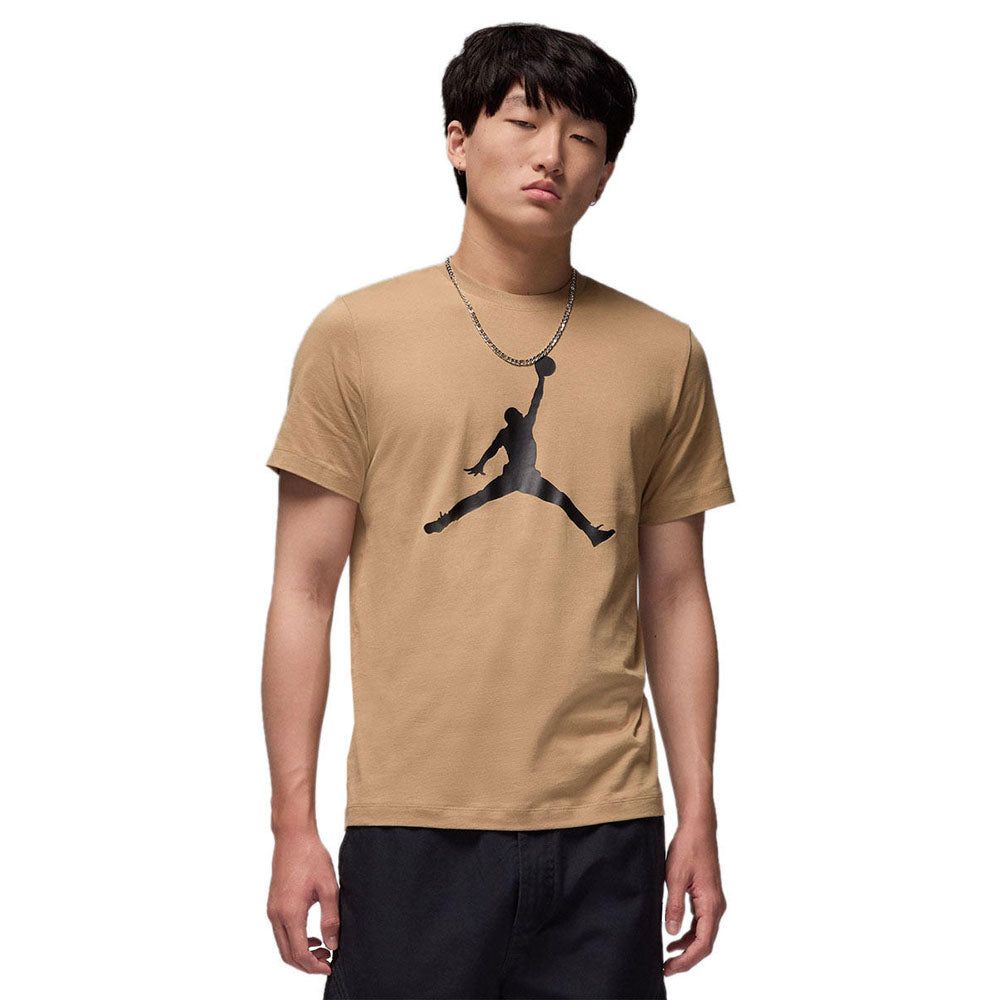 NIKE Jordan Jumpman мужская баскетбольная футболка