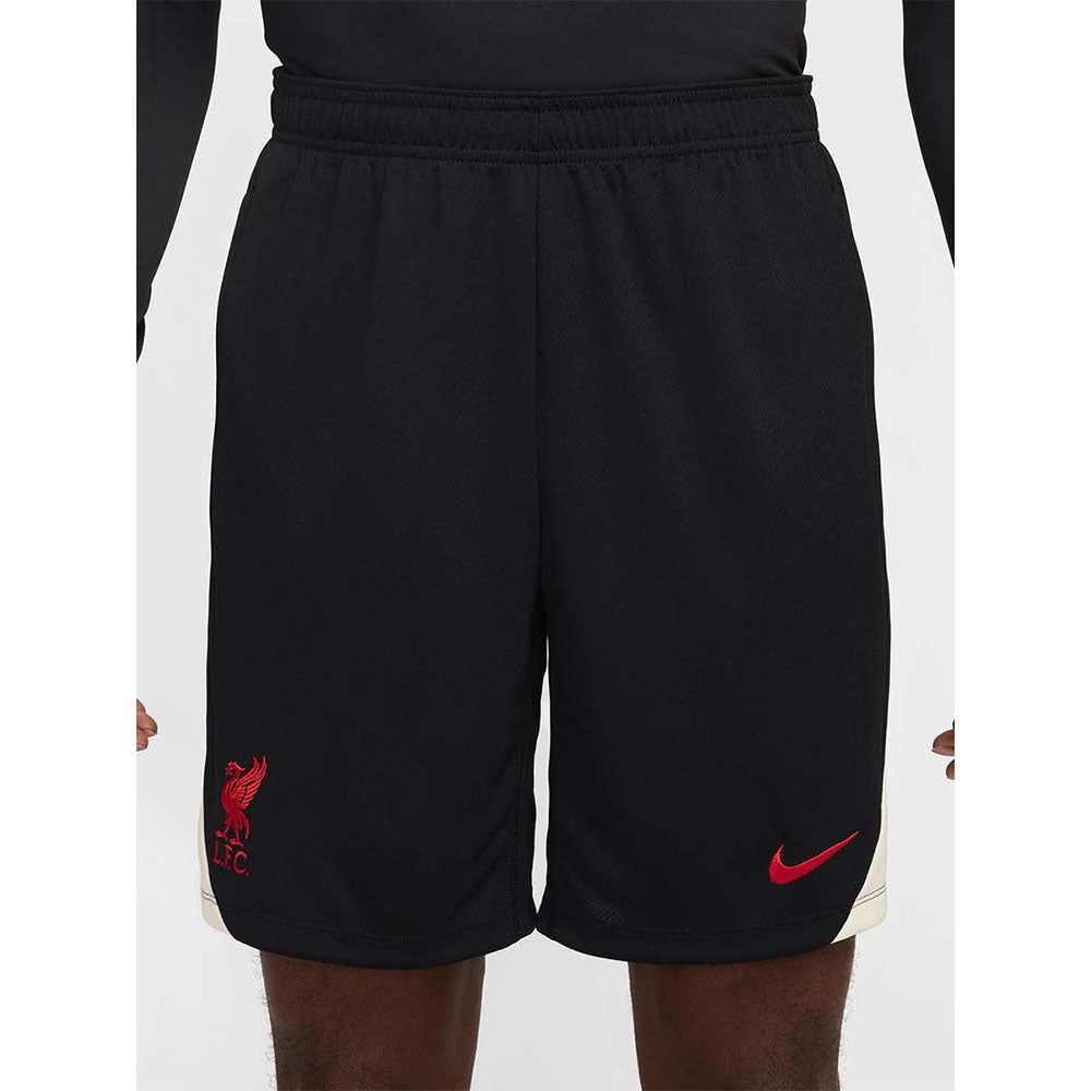 NIKE Liverpool FC Strike Special Edition мужские футбольные шорты