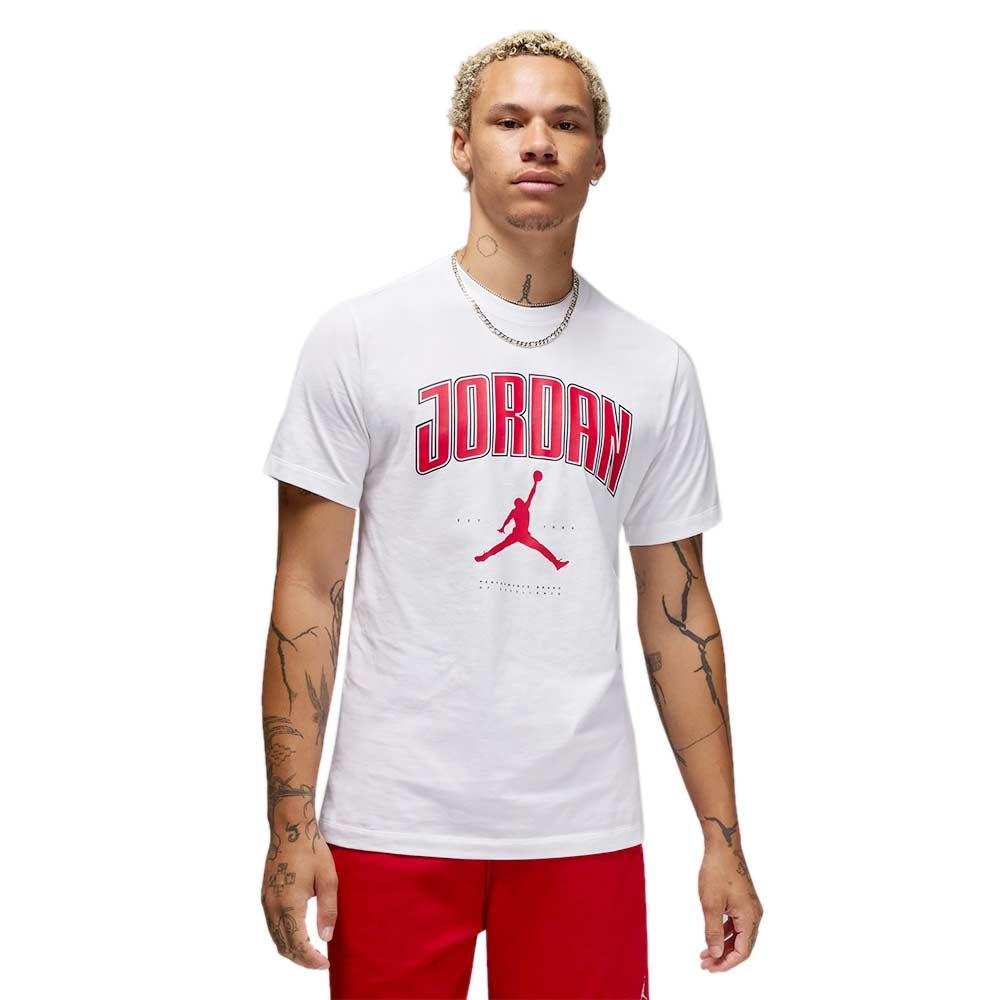 NIKE Jordan мужская футболка
