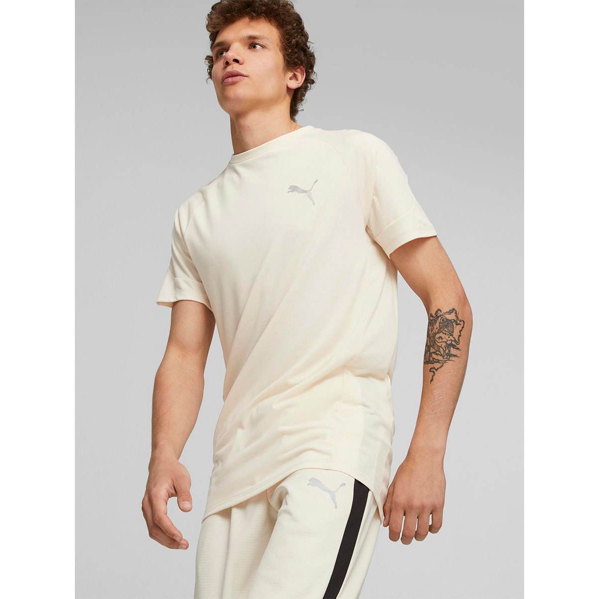 PUMA Evostripe мужская футболка
