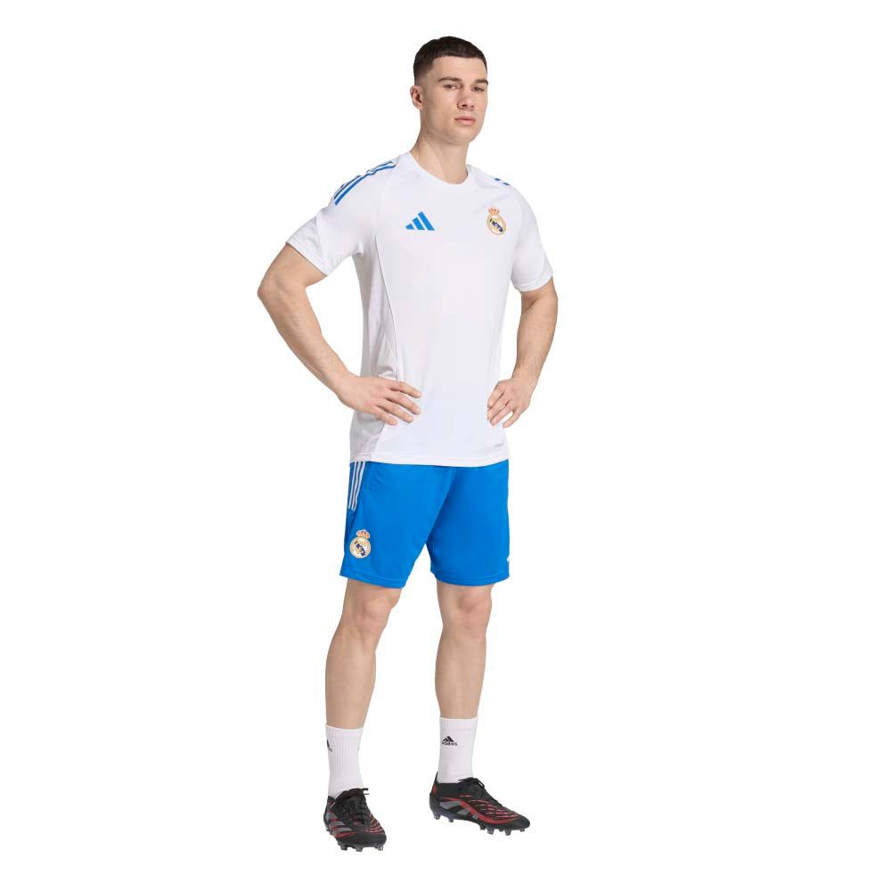 Миниатюра 7