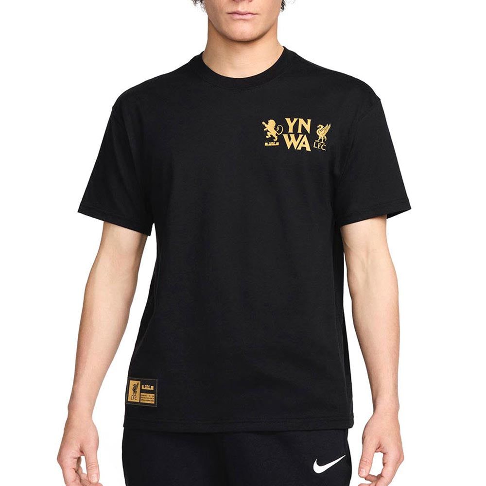 NIKE LeBron мужская футболка