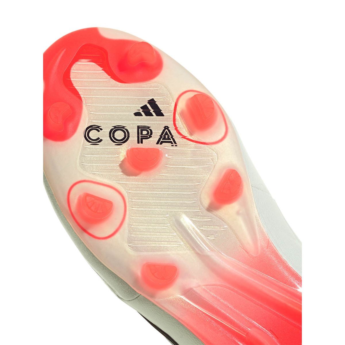 Миниатюра 8